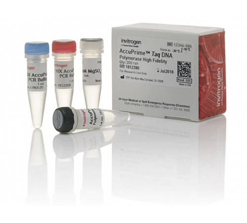 ДНК-полимераза AccuPrime Taq DNA Polymerase, high fidelity, Thermo FS ДНК-полимераза AccuPrime Taq DNA Polymerase, high fidelity, Thermo FS