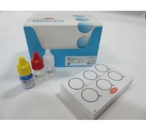 Набор латексной агглютинации для идентификации Listeria spp, 50 шт/уп, Thermo FS Набор латексной агглютинации для идентификации Listeria spp, 50 шт/уп, Thermo FS